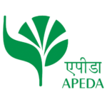 Home screenshot 2026 02 24 124915