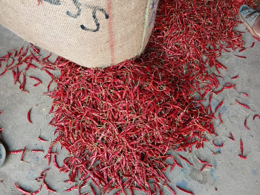Dry Red Chilli (Byadagi)