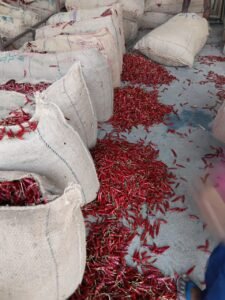 Dry Red Chilli 334 Sannam