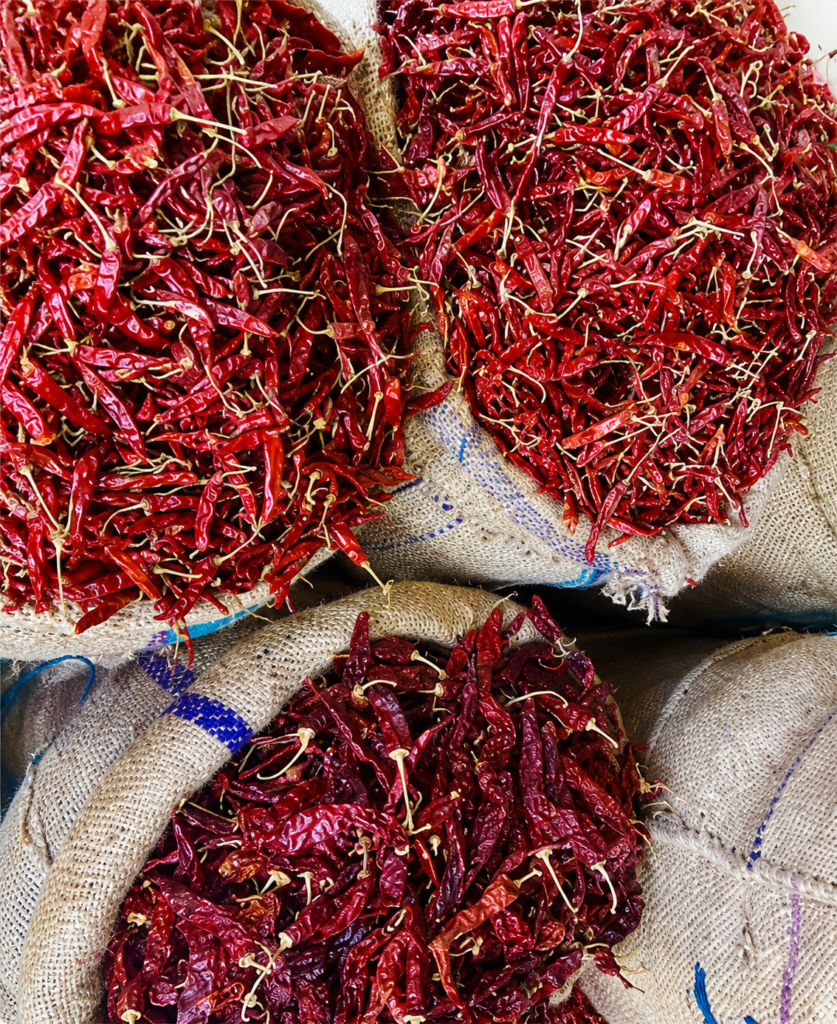 Chilli Exporter in Karnataka, India