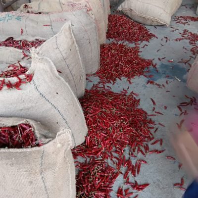 Dry Red Chilli 334 Sannam