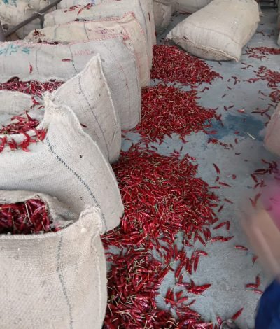 Dry Red Chilli 334 Sannam