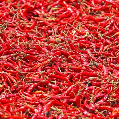 A close-up view of an abundance of vibrant sun-dried red chili peppers, showcasing their vivid color and texture.