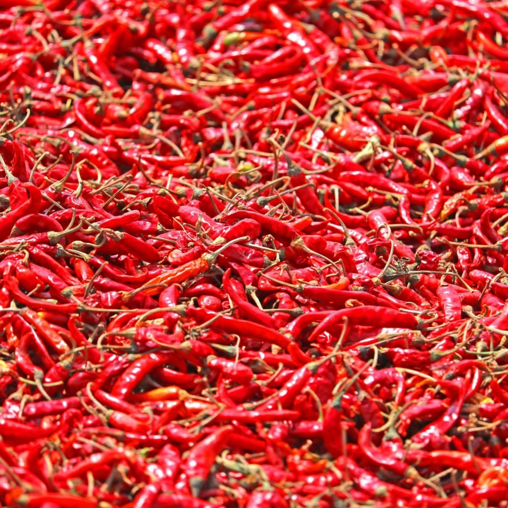 A close-up view of an abundance of vibrant sun-dried red chili peppers, showcasing their vivid color and texture.